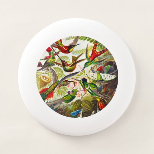 Vintage Hummingbirds by Ernst Haeckel Wham_O Frisbee