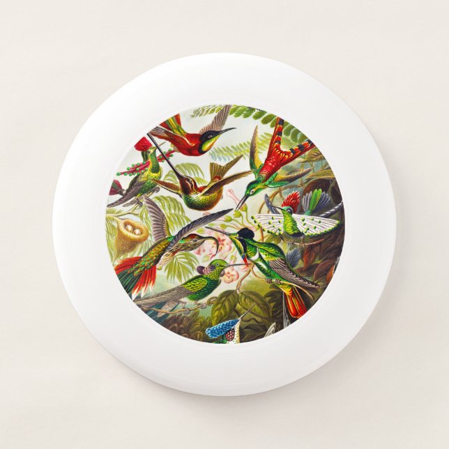 Vintage Hummingbirds by Ernst Haeckel Wham-O Frisbee (Front)
