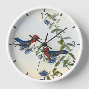 Vintage Hummingbirds by John Gould Clock