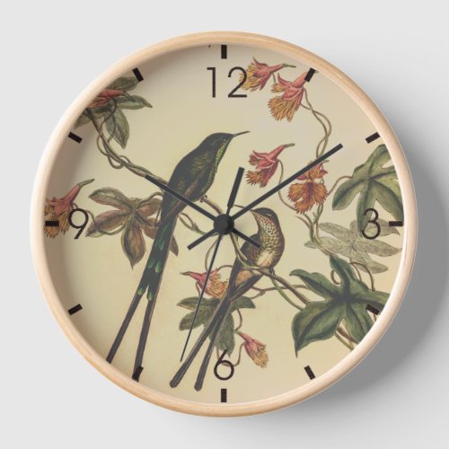 Vintage Hummingbirds by John Gould Clock
