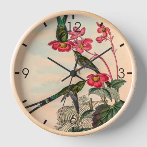 Vintage Hummingbirds by John Gould Clock