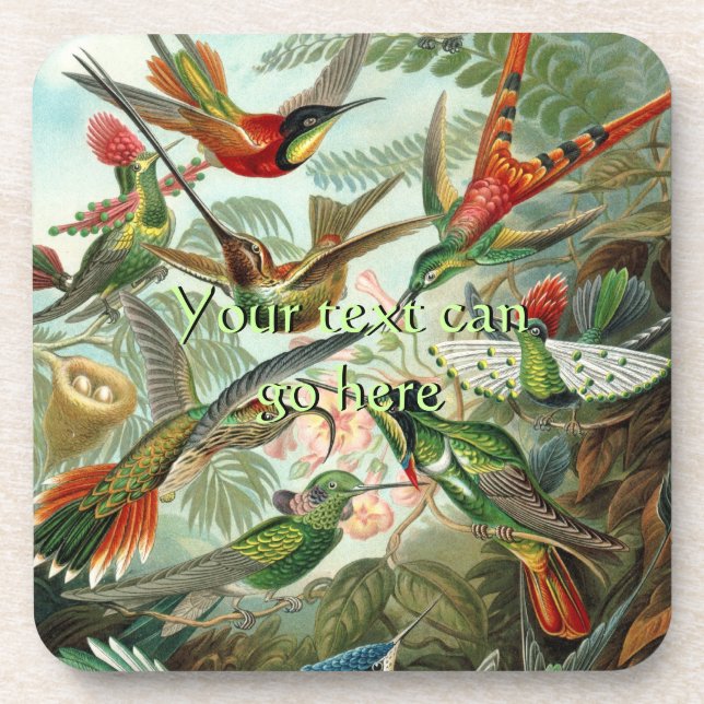Vintage Hummingbirds Coaster (Front)