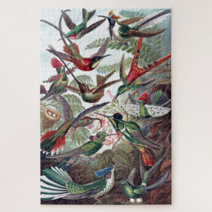Vintage Hummingbirds Old Book Illustration Art Jigsaw Puzzle