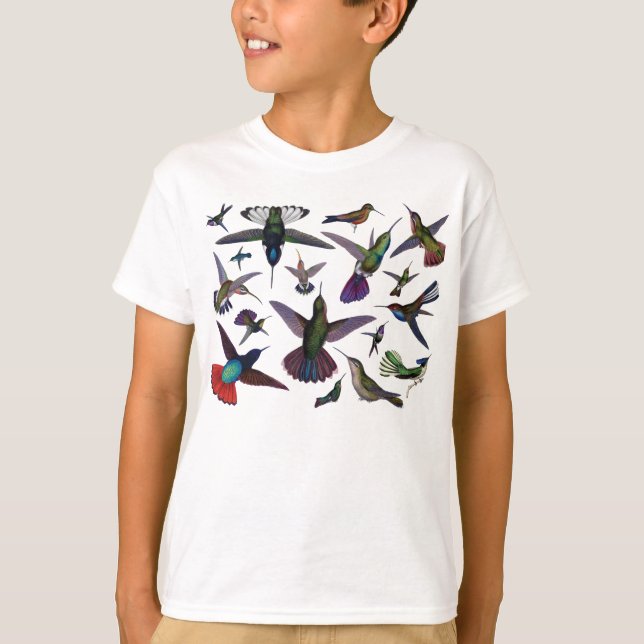 Vintage Hummingbirds T-Shirt (Front)