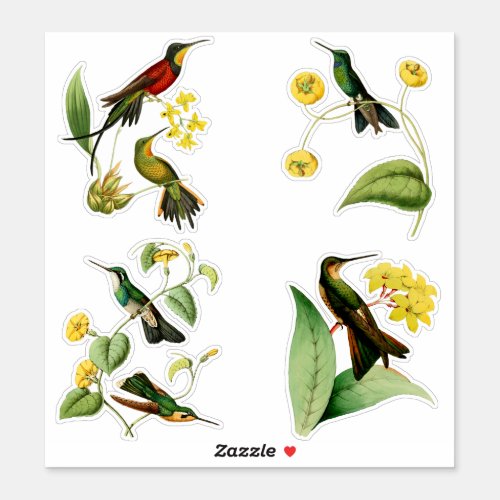 Vintage Hummingbirds with Tropical Plants Sticker
