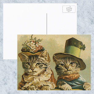 Vintage Humor, Victorian Bride Groom Cats in Hats Postcard