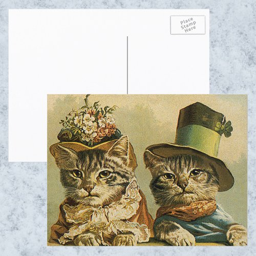 Vintage Humor Victorian Bride Groom Cats in Hats Postcard