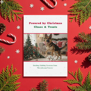 Vintage Humorous Funny Christmas Dog Pet Photo Holiday Card
