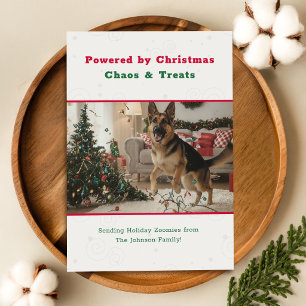 Vintage Humorous Funny Christmas Dog Pet Photo Holiday Card