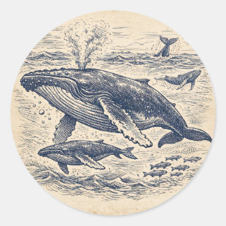 Vintage Humpback Whale Pod Engraving Classic Round Sticker