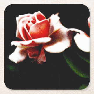 Vintage Hybrid Tea Rose Photo Square Paper Coaster