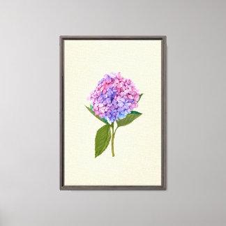 Vintage Hydrangea Canvas Print
