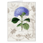 Vintage Hydrangea Cards (Front)