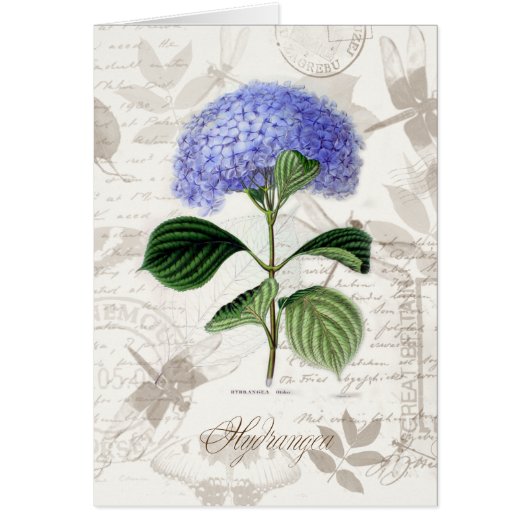 Vintage Hydrangea Cards (Front)