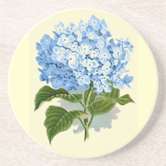 Vintage Hydrangea Sandstone Coaster (Front)
