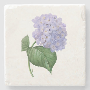 Vintage Hydrangea Vintage Flower Botanical Gift Stone Coaster