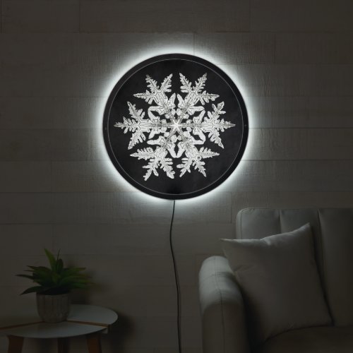 Vintage Illuminated Snowflake Retro LED Sign