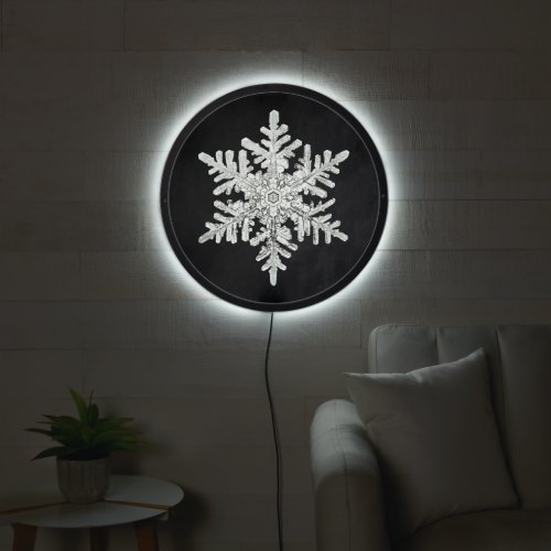 Vintage Illuminated Snowflake Retro LED Sign
