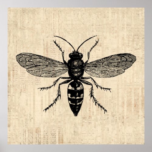Vintage Illustrated Bee Art Script Paper Style Poster