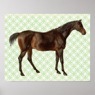 Vintage Illustrated Horse Retro Art Poster