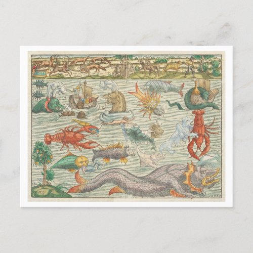 Vintage Illustration 1544 Chart of Sea Monsters Postcard