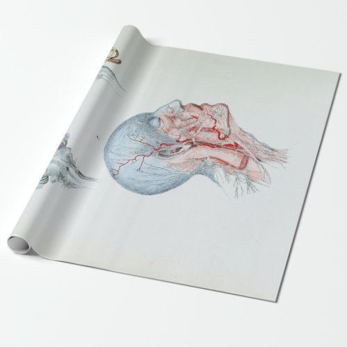 Vintage Illustration Anatomy Human Head and Eyes Wrapping Paper