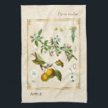 Vintage Illustration Apple Fruit Botanical Floral Kitchen Towel<br><div class="desc">Capture the charm of yesterday with Charmed Life's vintage herbal art kitchen towels featuring antique German lithographs of medicinal plants and herbs from Franz Eugen Köhler’s "Medizinal-Pflanzen" or "Medicinal Plants" published in 1887. An apple is a sweet, edible fruit produced by an apple tree. Apple trees are cultivated worldwide, and...</div>