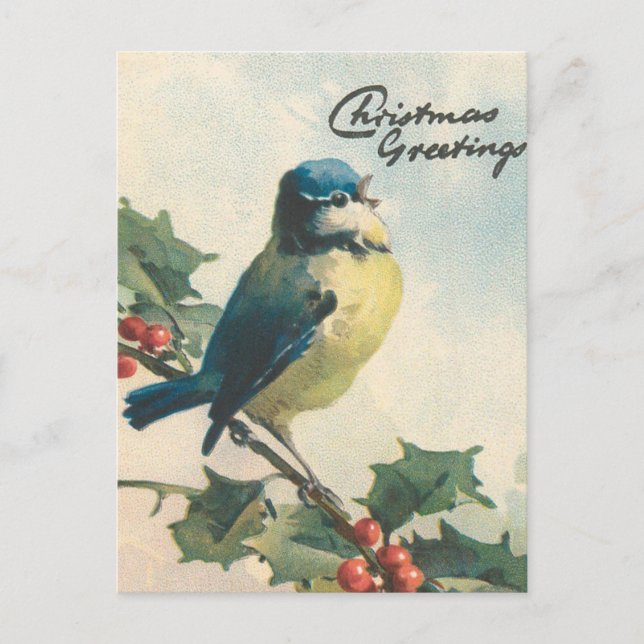 Vintage illustration bird winter Christmas card (Front)