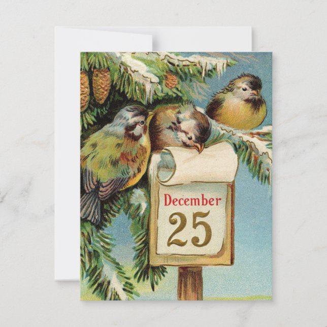 Vintage illustration birds cute Christmas card  (Front)