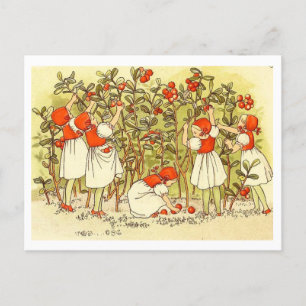 Vintage Illustration Blueberry Forest Elsa Beskow Postcard