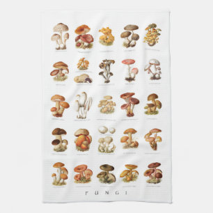 Vintage illustration chart edible mushrooms kitchen towel