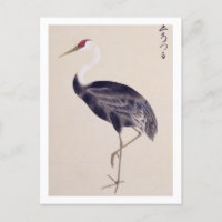 Vintage illustration: Common crane Postcard