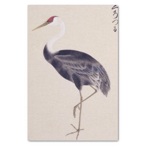 Vintage illustration Common crane Tissue Paper