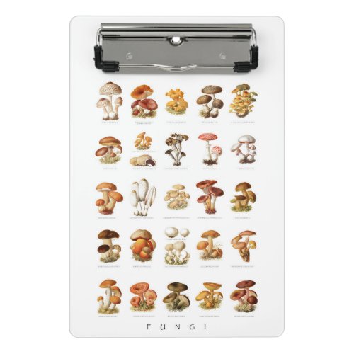 Vintage illustration edible non_edible mushrooms mini clipboard