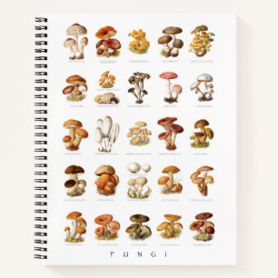 Vintage illustration edible non-edible mushrooms notebook