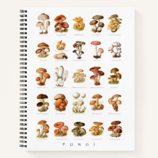 Vintage illustration edible non-edible mushrooms notebook