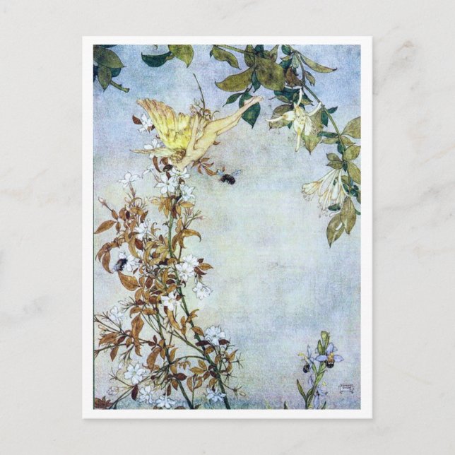 Vintage Illustration Edmund Dulac Tempest Postcard (Front)