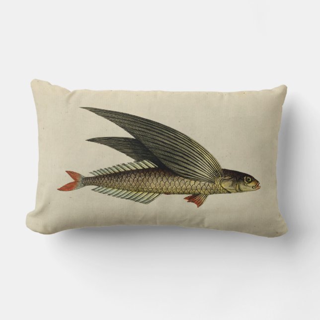 Vintage Illustration Flying Fish Lumbar Pillow (Front)