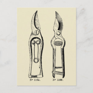 VINTAGE ILLUSTRATION Gardening Tool Pruners P Postcard