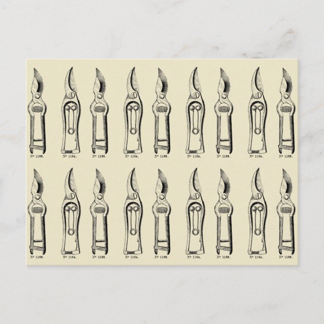 VINTAGE ILLUSTRATION Gardening Tools Pruners 2 Postcard (Front)