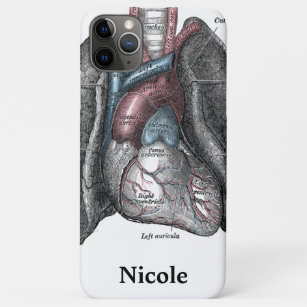 Anatomical Heart Iphone Cases Covers Zazzle