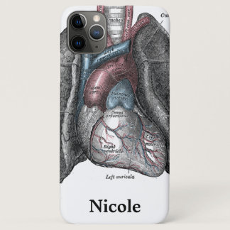 Vintage Illustration Gray's Anatomy Heart Lungs iPhone 11 Pro Max Case