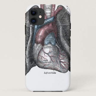 Vintage Illustration Gray's Anatomy Heart Lungs iPhone 11 Case