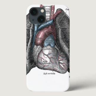Vintage Illustration Gray's Anatomy Heart Lungs iPhone 13 Case