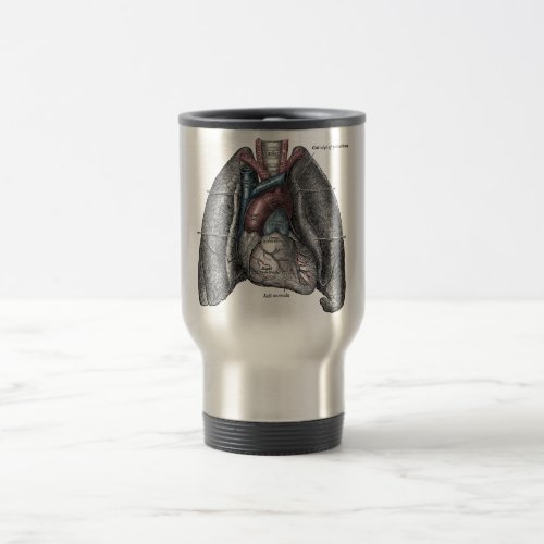 Vintage Illustration Grays Anatomy Heart Lungs Travel Mug