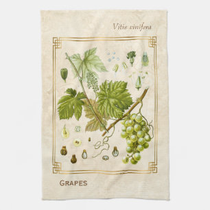 Vintage Illustration Green Grape Fruit Botanical Kitchen Towel