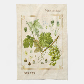 Vintage Illustration Green Grape Fruit Botanical Kitchen Towel