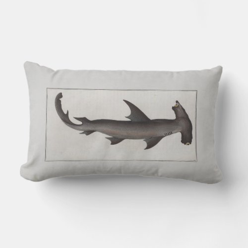 Vintage Illustration Hammerhead Shark Lumbar Pillow