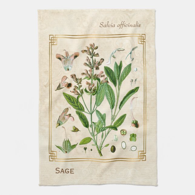 Vintage Illustration Herb Plant Sage Botanical Art Kitchen Towel (Vertical)