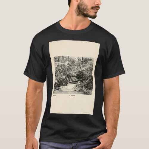 Vintage Illustration Insect Life 1897 Plate 2 A Br T_Shirt